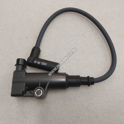SÜÜTEPOOL EFI DELPHI 70822D