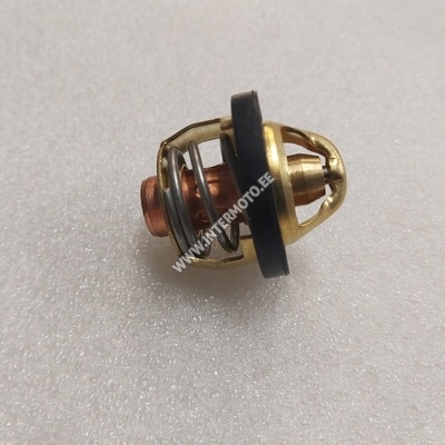 TERMOSTAAT 22901
